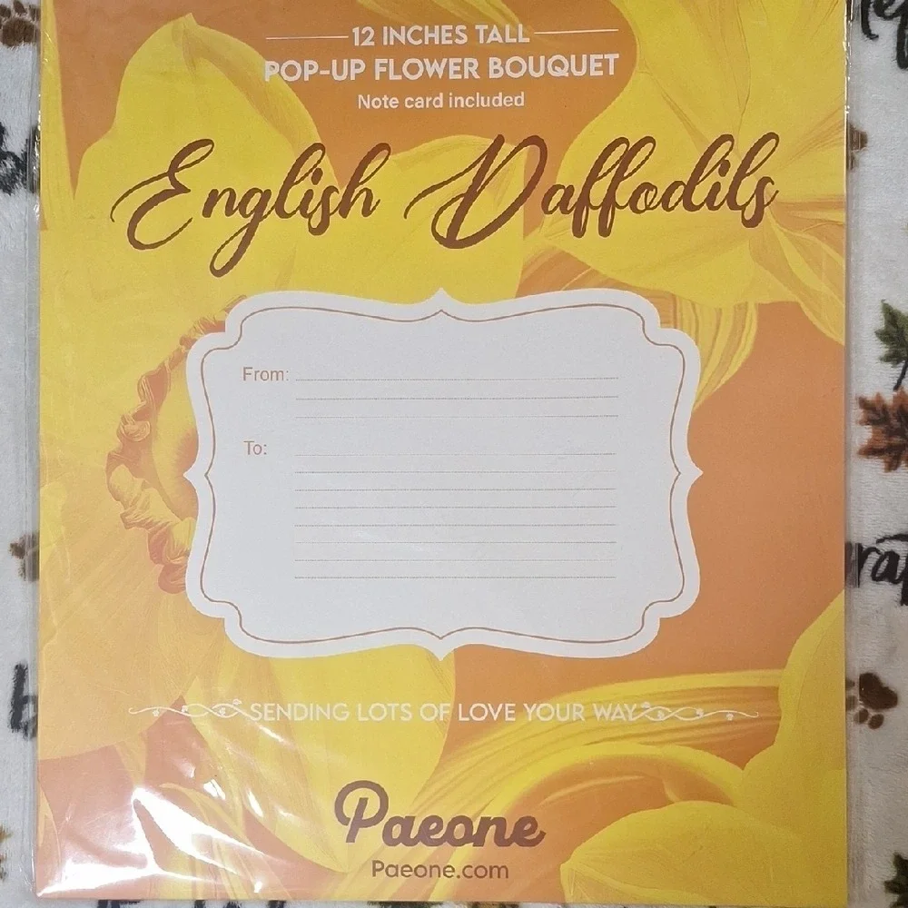 Paeone‎ 12 Inch English Daffodils 3D Pop Up Flower Bouquet Greeting Card New